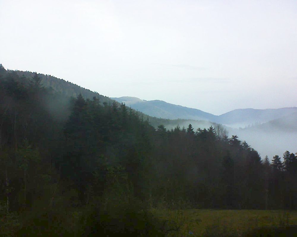 Le petit ballon (Alsace, Vosges) le 06.02.2021 à 08:30