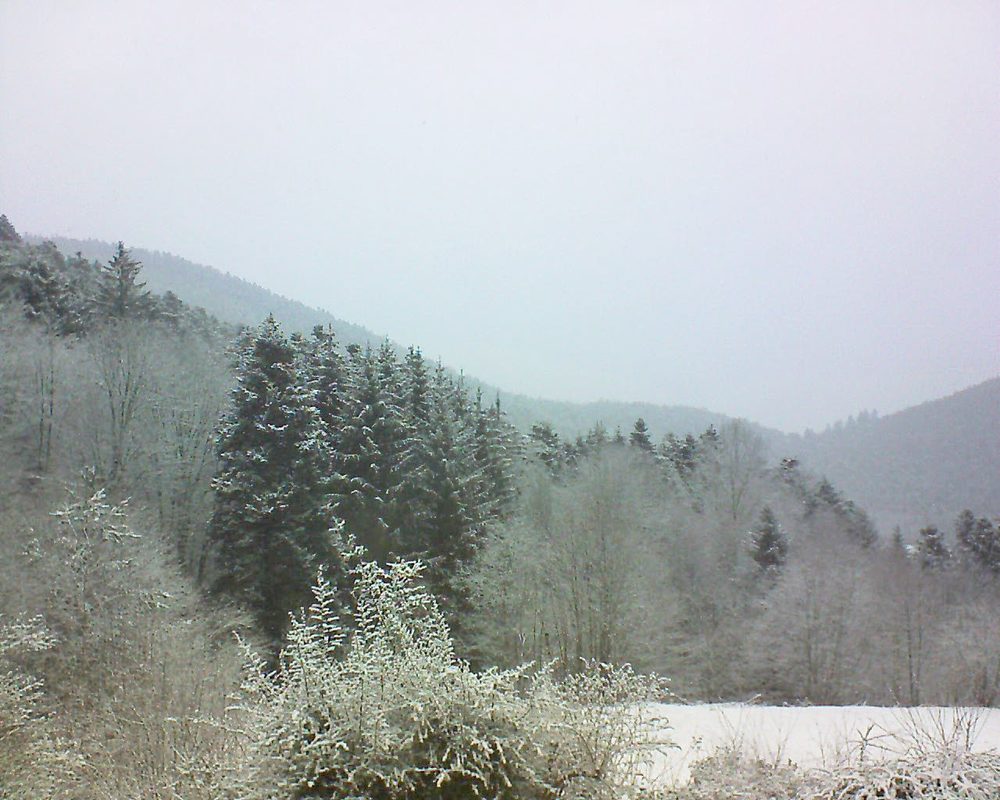 Le petit ballon vu depuis le Domaine Langmatt à Murbach le 08.02.2021 à 09:15 Le petit ballon (Alsace, Vosges) le 08.02.2021 à 09:15