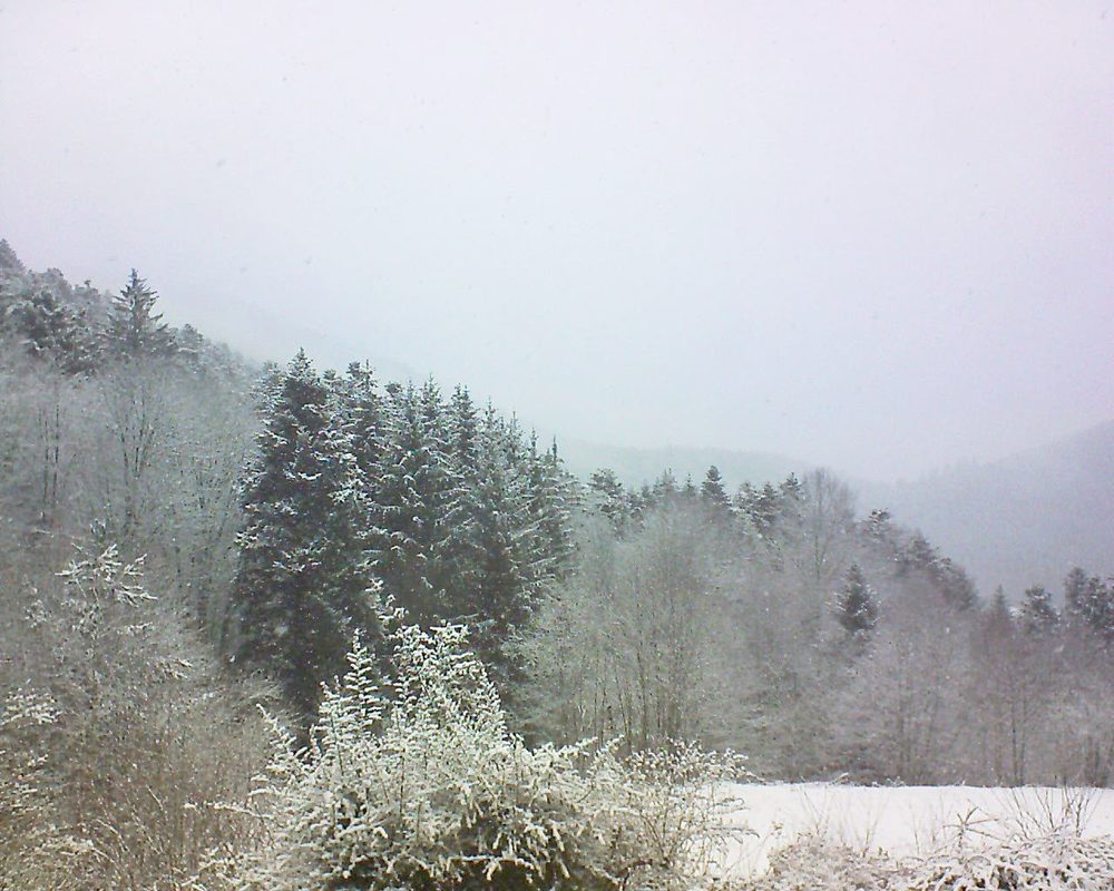 Le petit ballon vu depuis le Domaine Langmatt à Murbach le 08.02.2021 à 11:15 Le petit ballon (Alsace, Vosges) le 08.02.2021 à 11:15