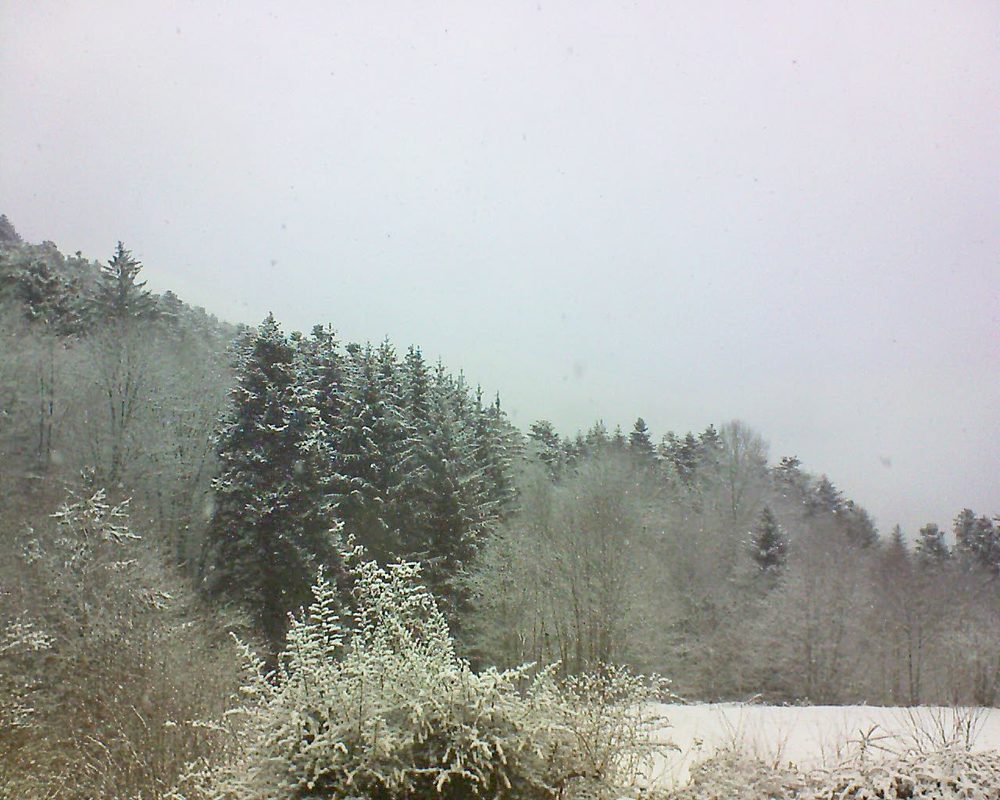 Le petit ballon vu depuis le Domaine Langmatt à Murbach le 08.02.2021 à 12:00 Le petit ballon (Alsace, Vosges) le 08.02.2021 à 12:00