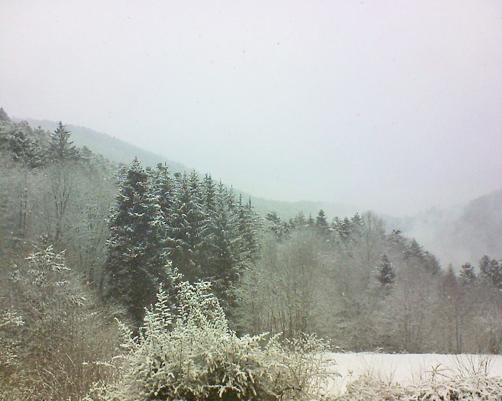 Le petit ballon vu depuis le Domaine Langmatt à Murbach le 08.02.2021 à 12:30 Le petit ballon (Alsace, Vosges) le 08.02.2021 à 12:30