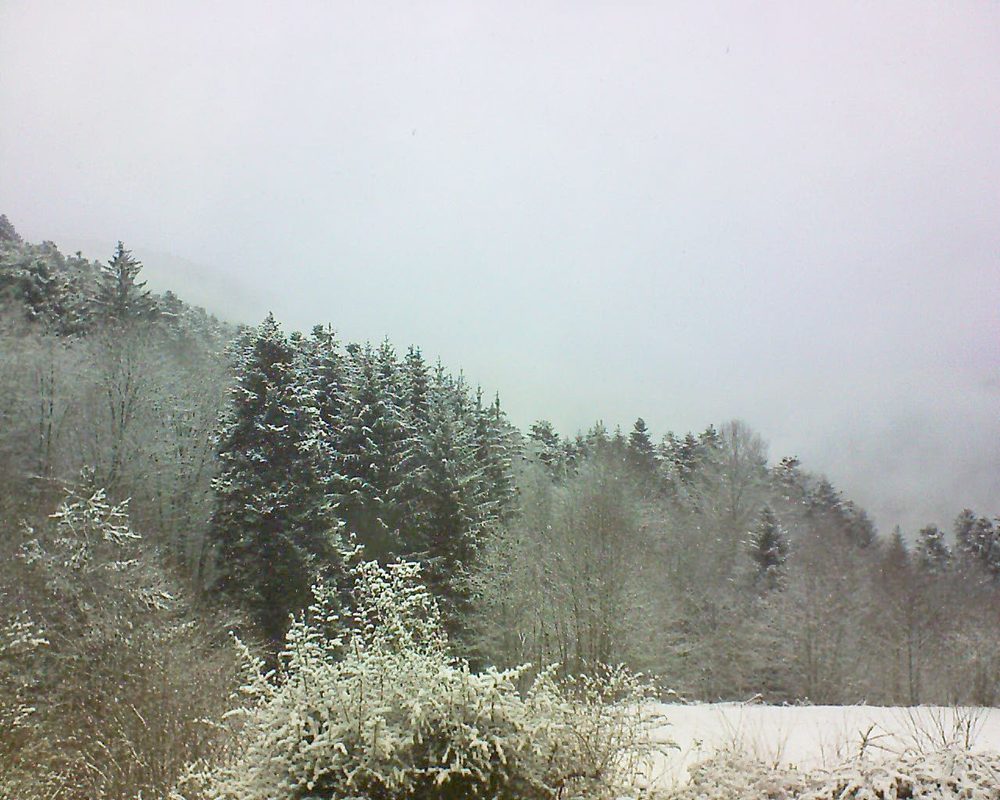 Le petit ballon vu depuis le Domaine Langmatt à Murbach le 08.02.2021 à 13:15 Le petit ballon (Alsace, Vosges) le 08.02.2021 à 13:15