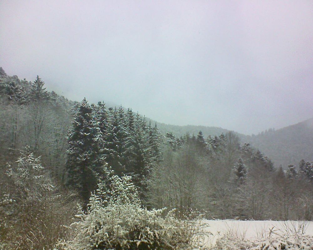Le petit ballon vu depuis le Domaine Langmatt à Murbach le 08.02.2021 à 15:15 Le petit ballon (Alsace, Vosges) le 08.02.2021 à 15:15