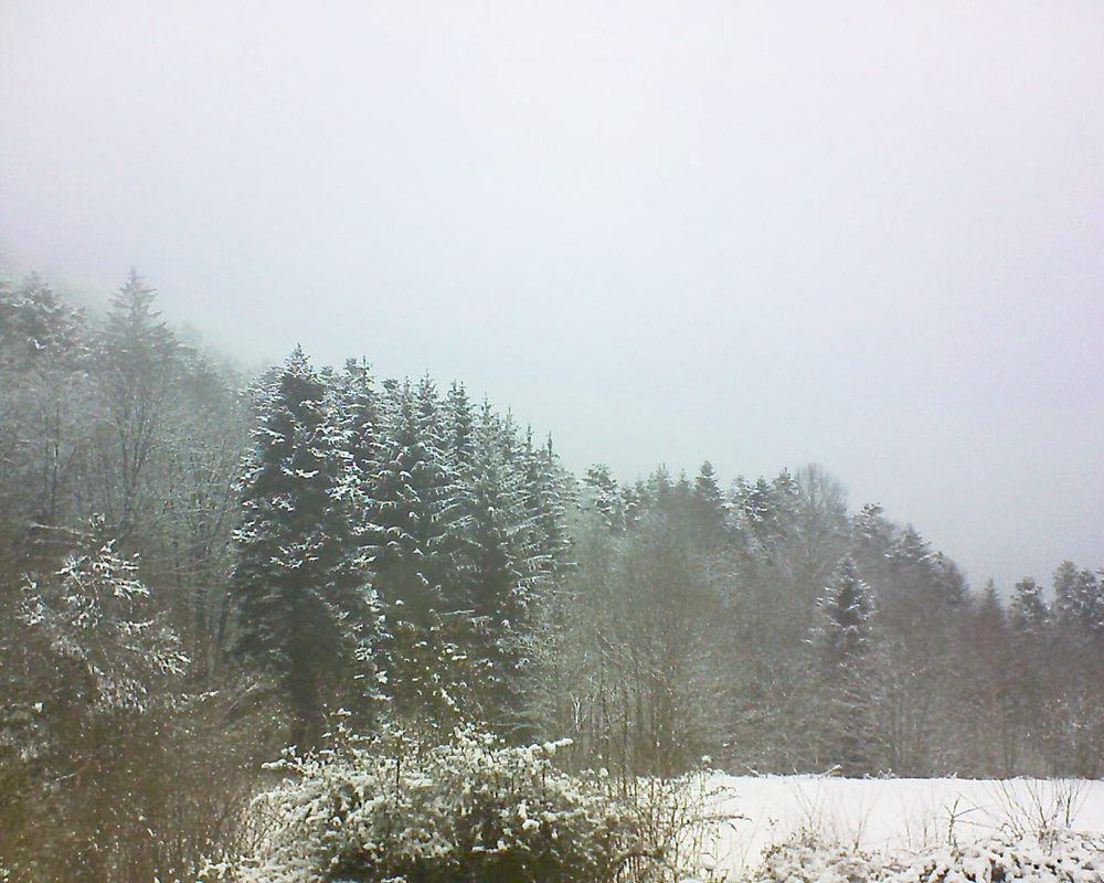 Le petit ballon vu depuis le Domaine Langmatt à Murbach le 09.02.2021 à 09:30 Le petit ballon (Alsace, Vosges) le 09.02.2021 à 09:30