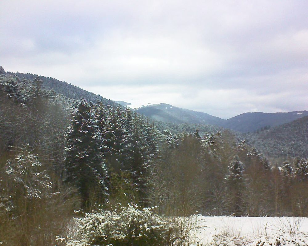 Le petit ballon vu depuis le Domaine Langmatt à Murbach le 09.02.2021 à 15:30 Le petit ballon (Alsace, Vosges) le 09.02.2021 à 15:30