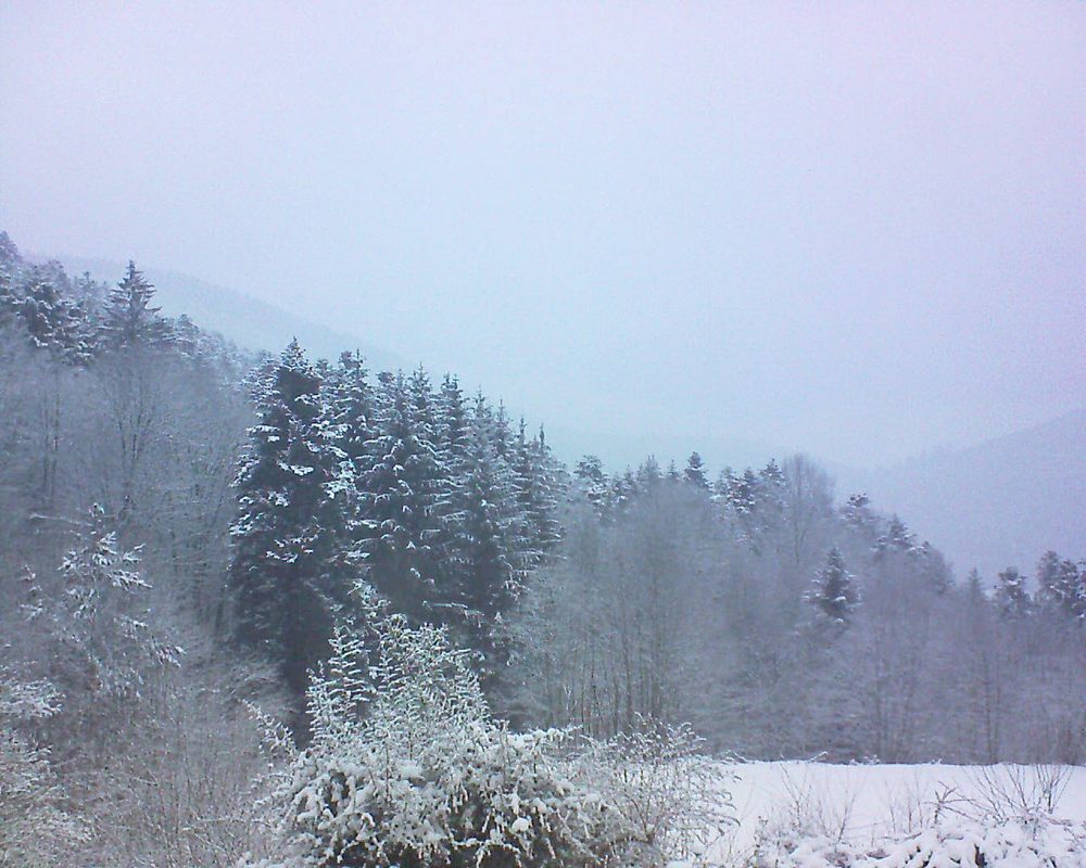 Le petit ballon vu depuis le Domaine Langmatt à Murbach le 10.02.2021 à 08:30 Le petit ballon (Alsace, Vosges) le 10.02.2021 à 08:30