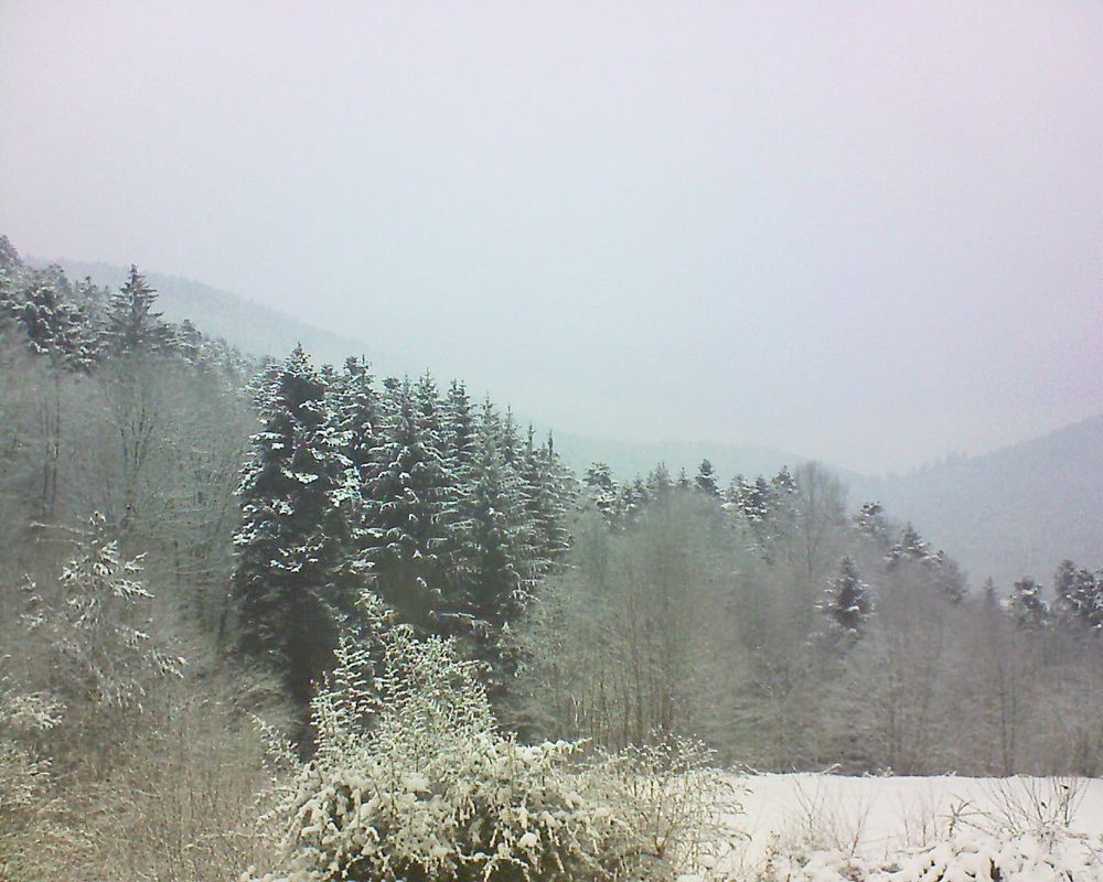 Le petit ballon vu depuis le Domaine Langmatt à Murbach le 10.02.2021 à 10:30 Le petit ballon (Alsace, Vosges) le 10.02.2021 à 10:30