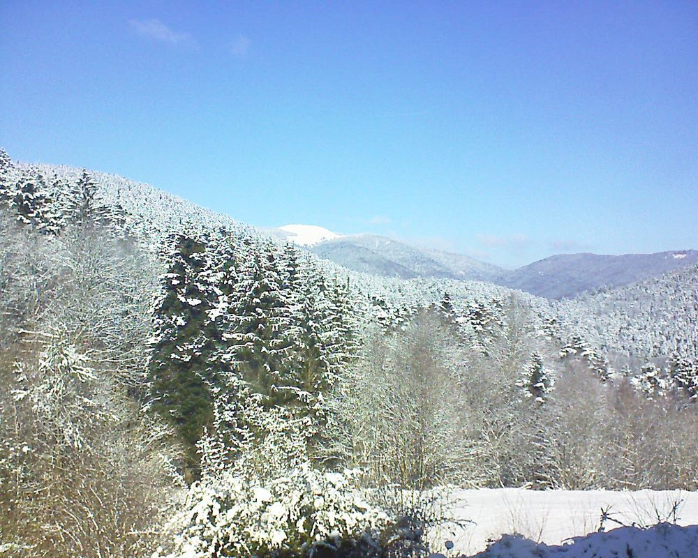 Le petit ballon vu depuis le Domaine Langmatt à Murbach le 11.02.2021 à 12:15 Le petit ballon (Alsace, Vosges) le 11.02.2021 à 12:15
