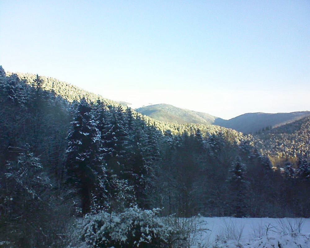 Le petit ballon (Alsace, Vosges) le 12.02.2021 à 08:30