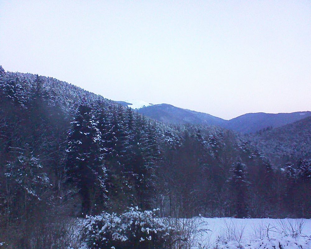 Le petit ballon (Alsace, Vosges) le 13.02.2021 à 07:30