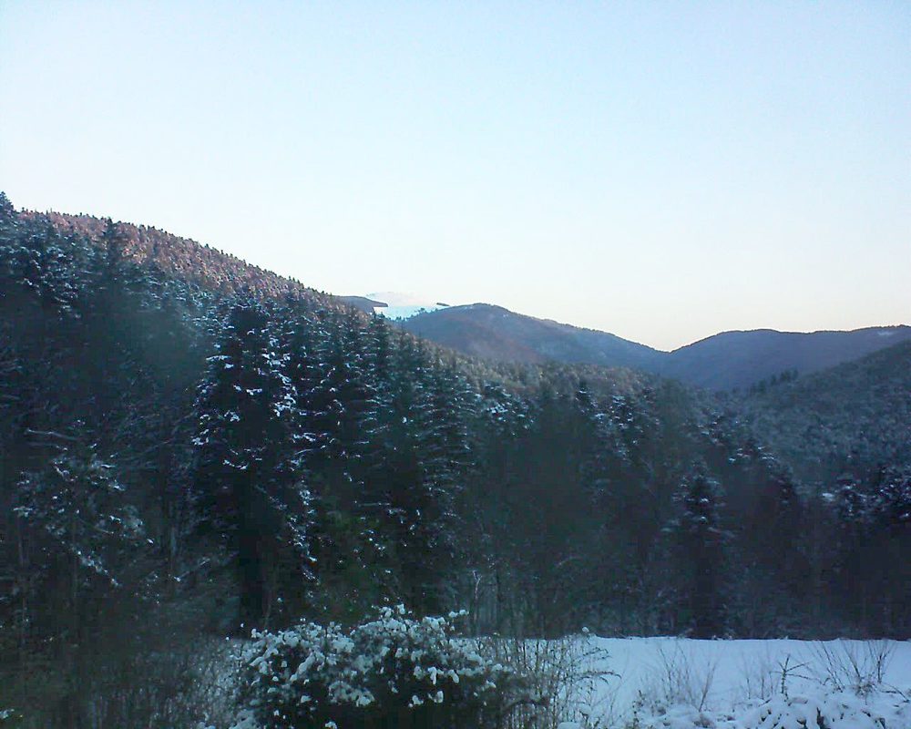 Le petit ballon (Alsace, Vosges) le 13.02.2021 à 07:45