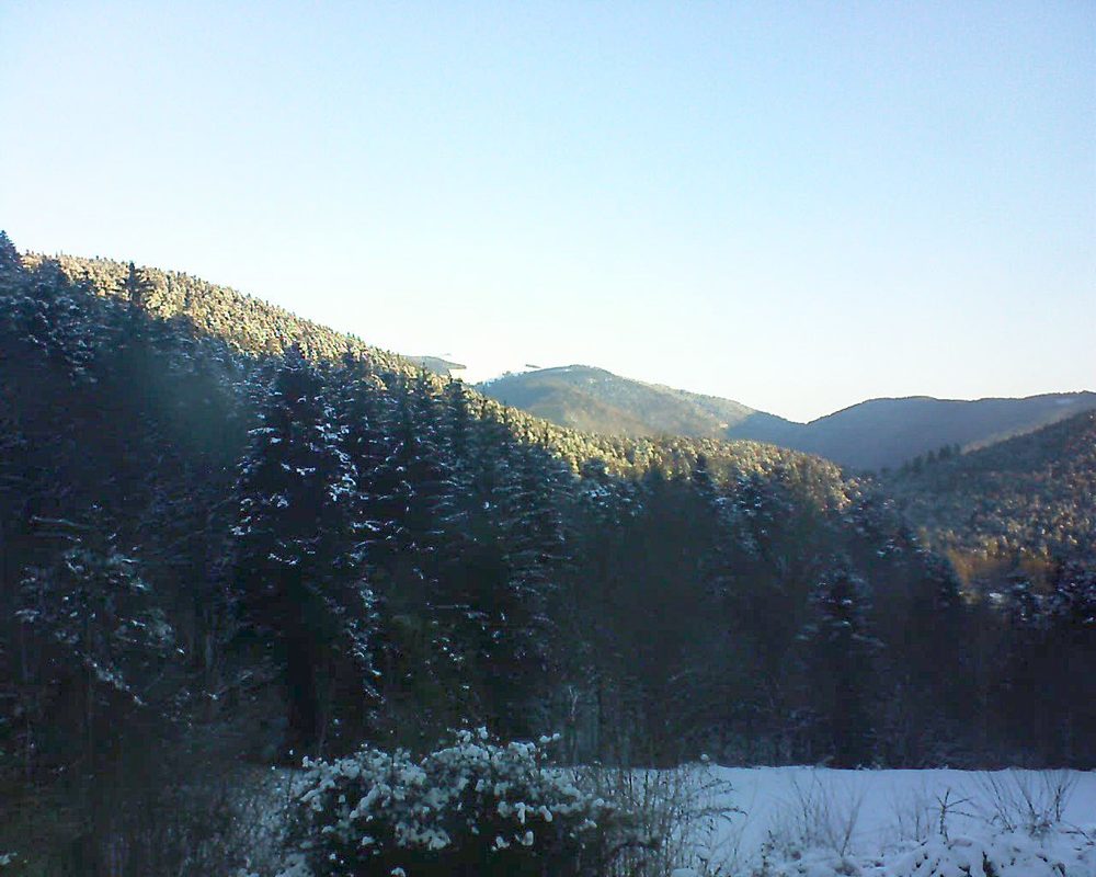 Le petit ballon vu depuis le Domaine Langmatt à Murbach le 13.02.2021 à 08:15 Le petit ballon (Alsace, Vosges) le 13.02.2021 à 08:15