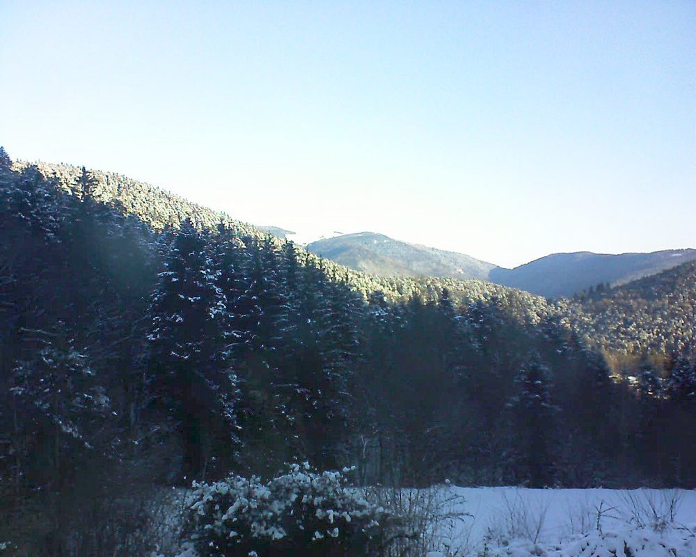 Le petit ballon vu depuis le Domaine Langmatt à Murbach le 13.02.2021 à 08:45 Le petit ballon (Alsace, Vosges) le 13.02.2021 à 08:45