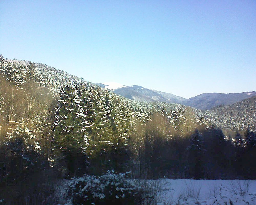 Le petit ballon (Alsace, Vosges) le 13.02.2021 à 10:30