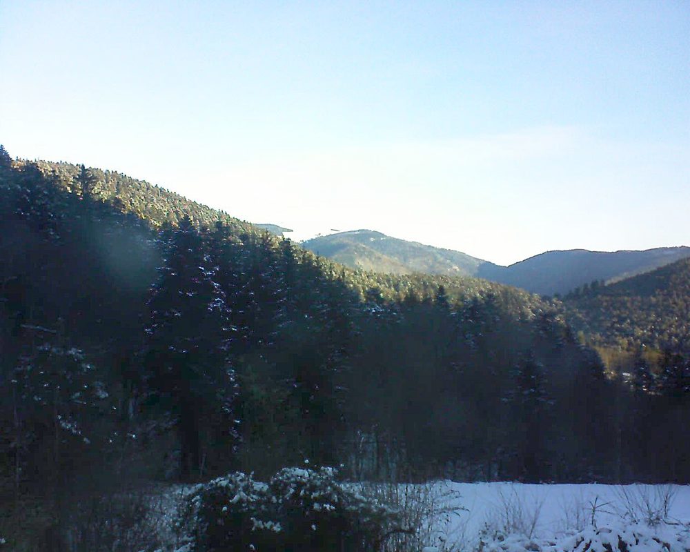 Le petit ballon (Alsace, Vosges) le 14.02.2021 à 08:30