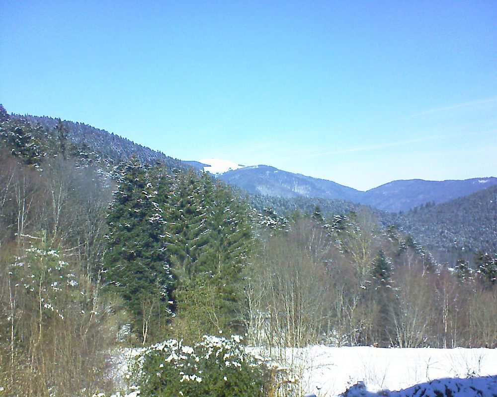 Le petit ballon vu depuis le Domaine Langmatt à Murbach le 14.02.2021 à 12:30 Le petit ballon (Alsace, Vosges) le 14.02.2021 à 12:30
