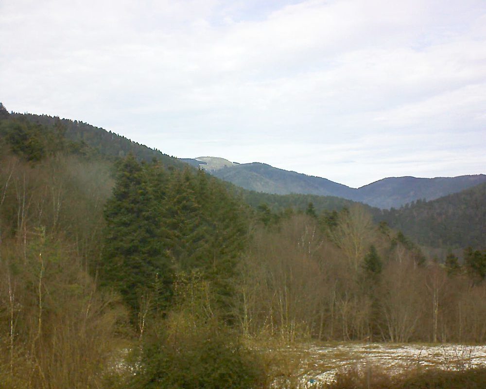 Le petit ballon vu depuis le Domaine Langmatt à Murbach le 16.02.2021 à 12:30 Le petit ballon (Alsace, Vosges) le 16.02.2021 à 12:30
