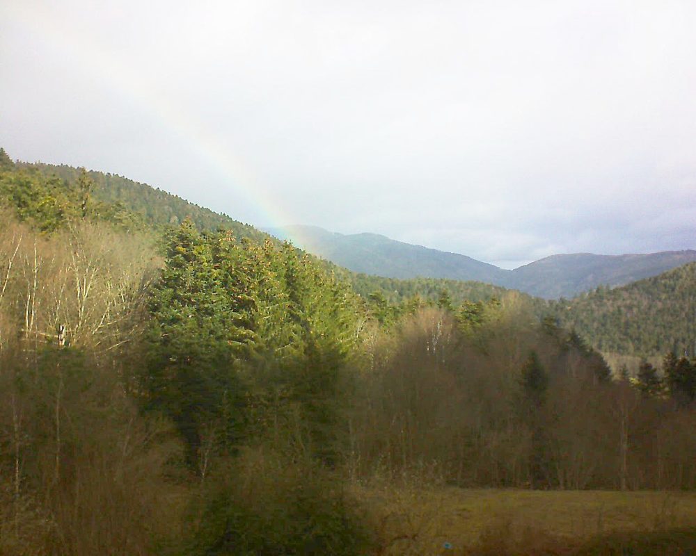 Le petit ballon vu depuis le Domaine Langmatt à Murbach le 17.02.2021 à 10:15 Le petit ballon (Alsace, Vosges) le 17.02.2021 à 10:15