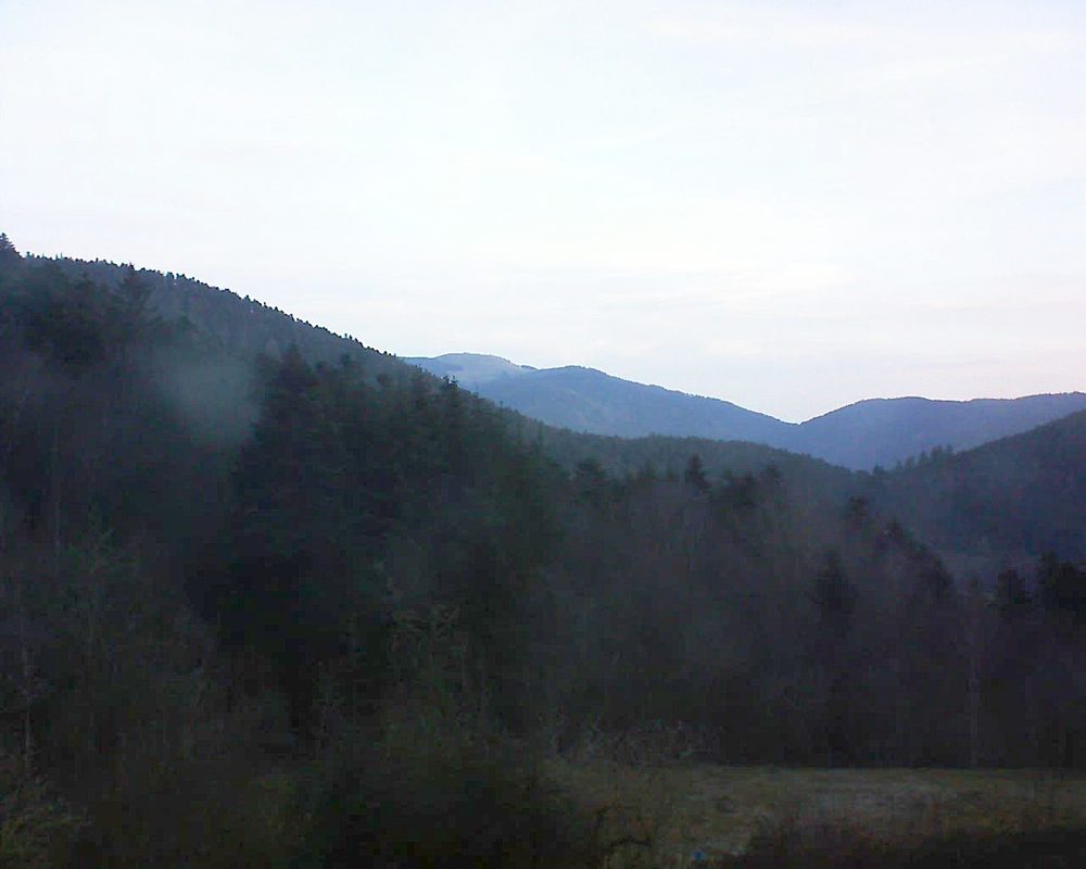 Le petit ballon (Alsace, Vosges) le 20.02.2021 à 07:30