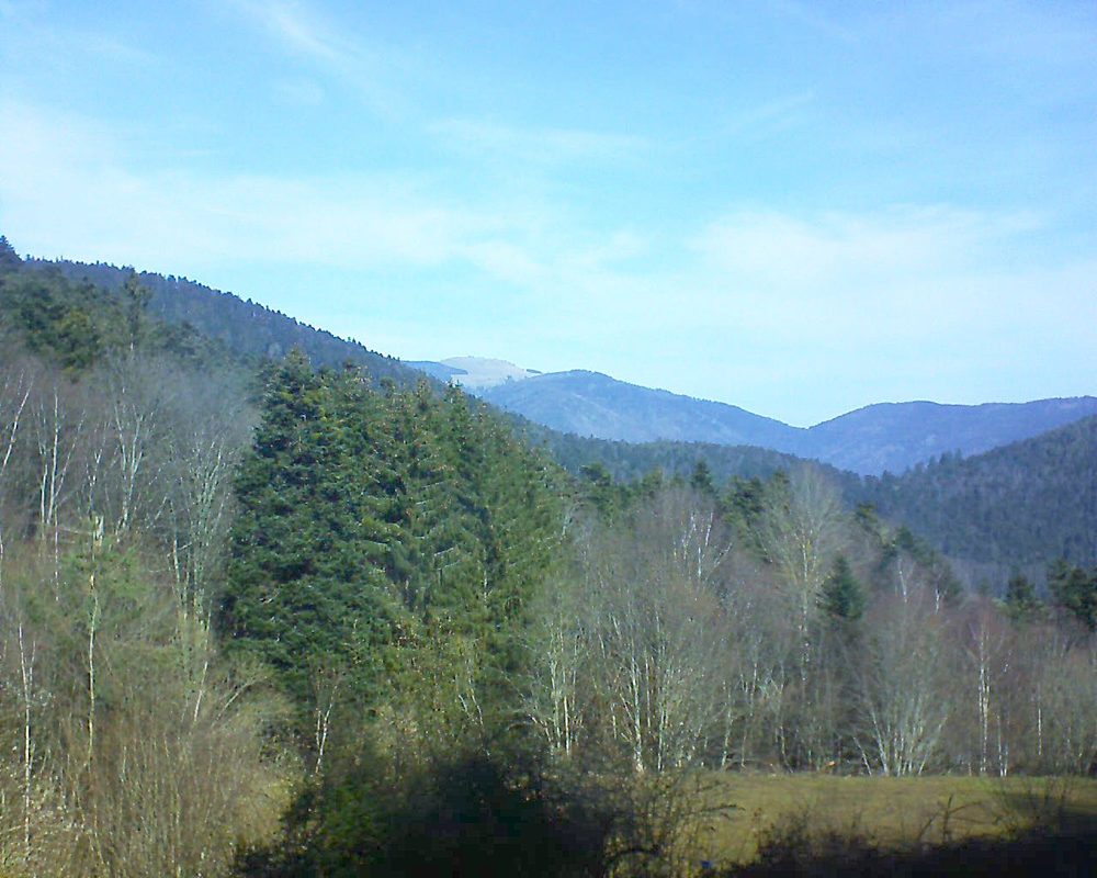 Le petit ballon vu depuis le Domaine Langmatt à Murbach le 20.02.2021 à 11:30 Le petit ballon (Alsace, Vosges) le 20.02.2021 à 11:30
