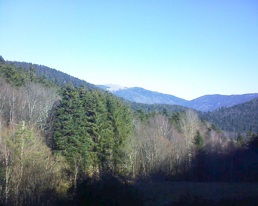 Le petit ballon vu depuis le Domaine Langmatt à Murbach le 21.02.2021 à 10:30 Le petit ballon (Alsace, Vosges) le 21.02.2021 à 10:30