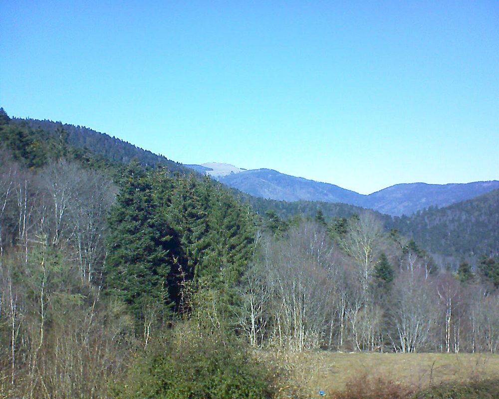 Le petit ballon vu depuis le Domaine Langmatt à Murbach le 21.02.2021 à 13:15 Le petit ballon (Alsace, Vosges) le 21.02.2021 à 13:15