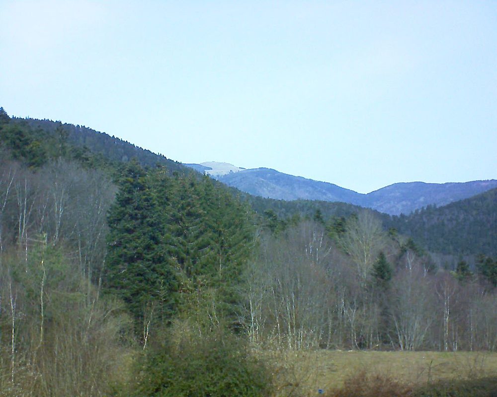 Le petit ballon vu depuis le Domaine Langmatt à Murbach le 22.02.2021 à 12:15 Le petit ballon (Alsace, Vosges) le 22.02.2021 à 12:15