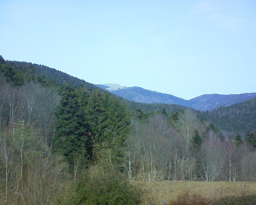 Le petit ballon vu depuis le Domaine Langmatt à Murbach le 22.02.2021 à 13:00 Le petit ballon (Alsace, Vosges) le 22.02.2021 à 13:00