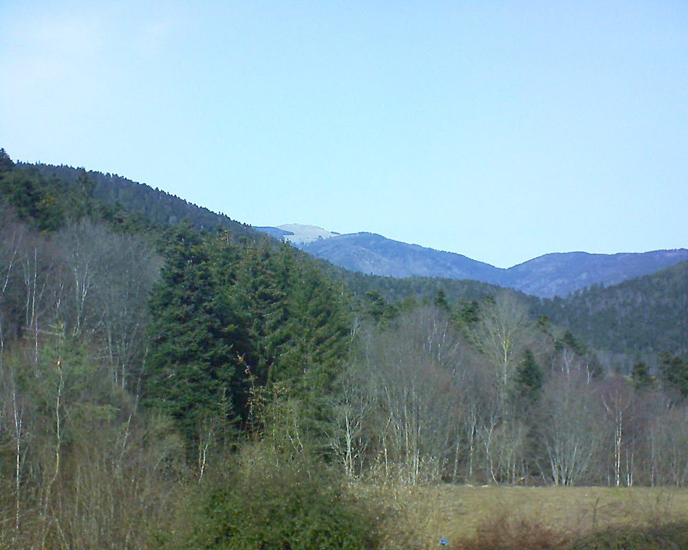 Le petit ballon vu depuis le Domaine Langmatt à Murbach le 22.02.2021 à 13:15 Le petit ballon (Alsace, Vosges) le 22.02.2021 à 13:15