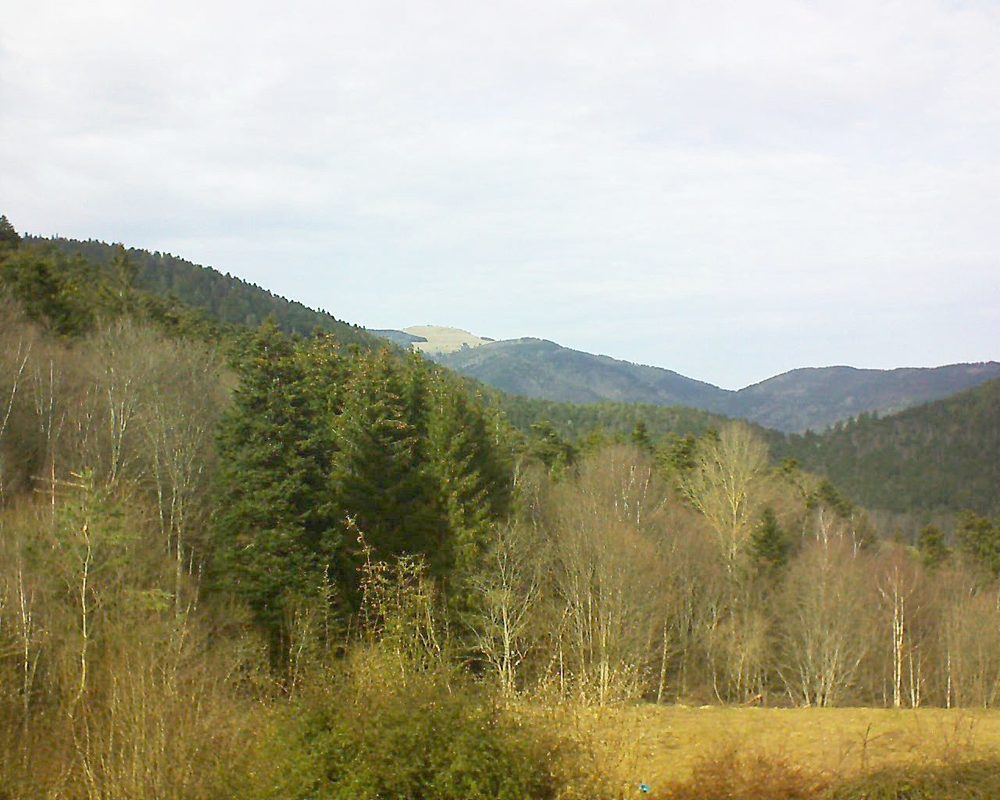 Le petit ballon vu depuis le Domaine Langmatt à Murbach le 22.02.2021 à 14:15 Le petit ballon (Alsace, Vosges) le 22.02.2021 à 14:15