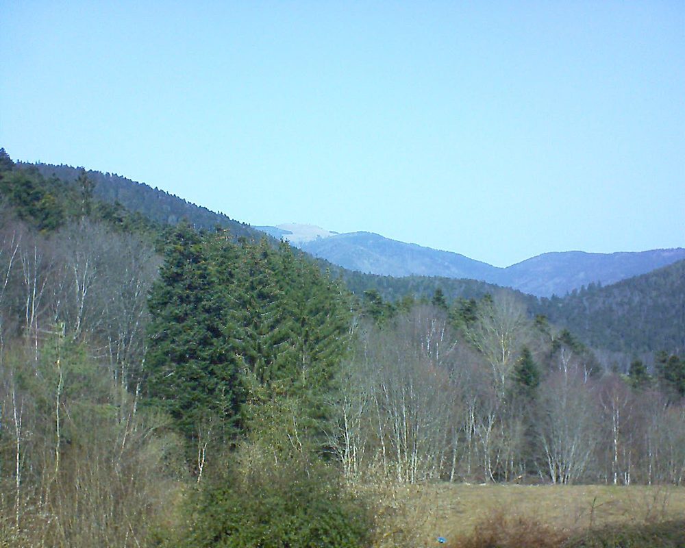 Le petit ballon vu depuis le Domaine Langmatt à Murbach le 23.02.2021 à 12:30 Le petit ballon (Alsace, Vosges) le 23.02.2021 à 12:30