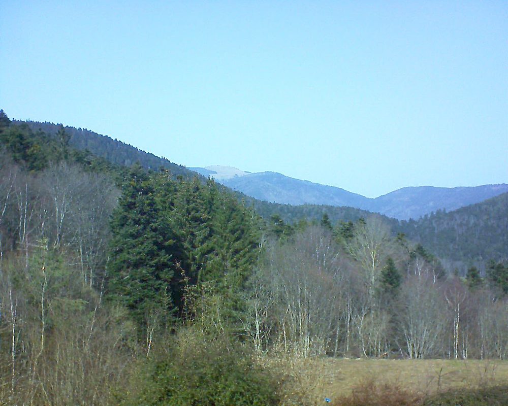 Le petit ballon vu depuis le Domaine Langmatt à Murbach le 23.02.2021 à 13:15 Le petit ballon (Alsace, Vosges) le 23.02.2021 à 13:15
