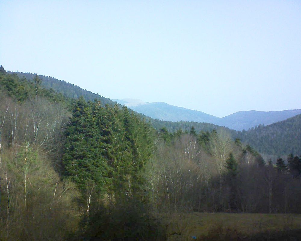 Le petit ballon vu depuis le Domaine Langmatt à Murbach le 24.02.2021 à 10:15 Le petit ballon (Alsace, Vosges) le 24.02.2021 à 10:15