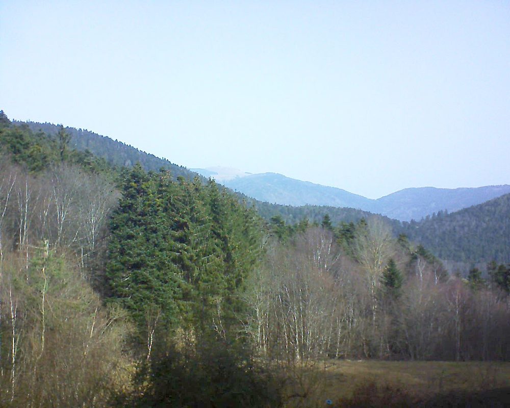 Le petit ballon vu depuis le Domaine Langmatt à Murbach le 24.02.2021 à 10:45 Le petit ballon (Alsace, Vosges) le 24.02.2021 à 10:45