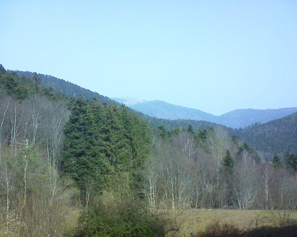 Le petit ballon vu depuis le Domaine Langmatt à Murbach le 24.02.2021 à 11:30 Le petit ballon (Alsace, Vosges) le 24.02.2021 à 11:30