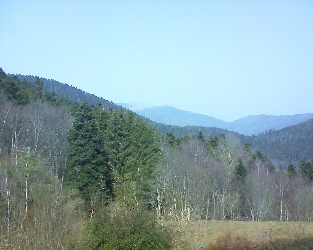Le petit ballon vu depuis le Domaine Langmatt à Murbach le 24.02.2021 à 12:45 Le petit ballon (Alsace, Vosges) le 24.02.2021 à 12:45