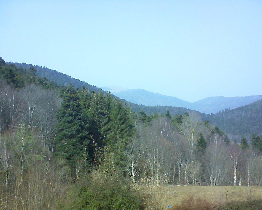 Le petit ballon vu depuis le Domaine Langmatt à Murbach le 24.02.2021 à 13:30 Le petit ballon (Alsace, Vosges) le 24.02.2021 à 13:30