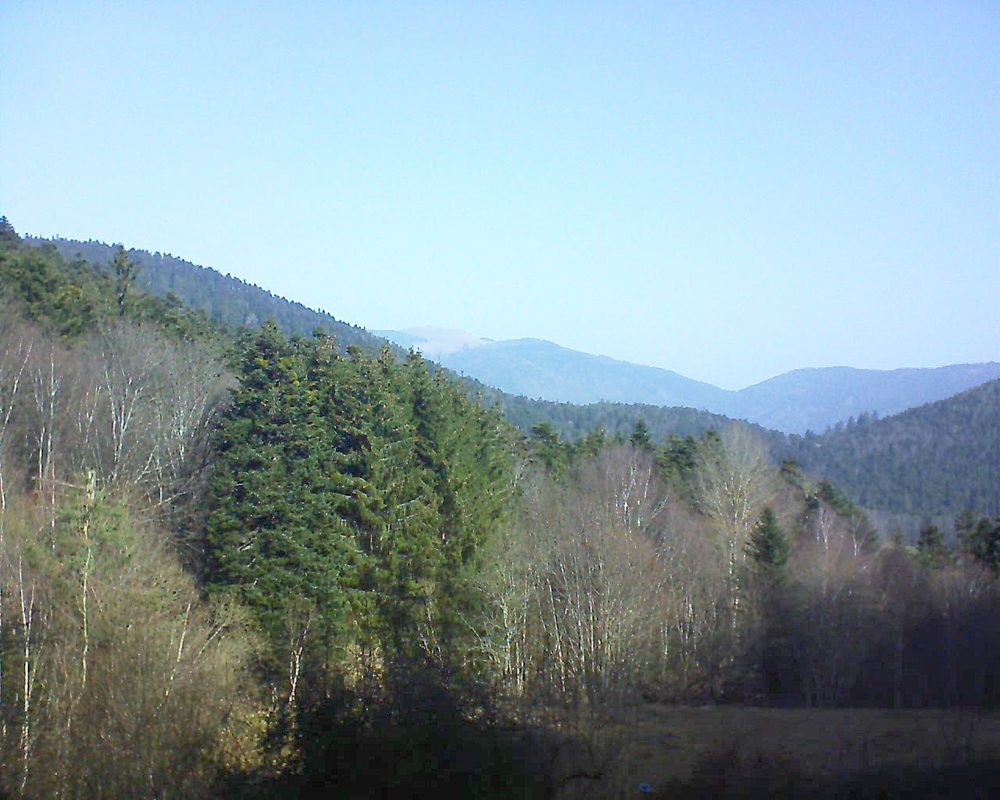 Le petit ballon vu depuis le Domaine Langmatt à Murbach le 25.02.2021 à 10:30 Le petit ballon (Alsace, Vosges) le 25.02.2021 à 10:30