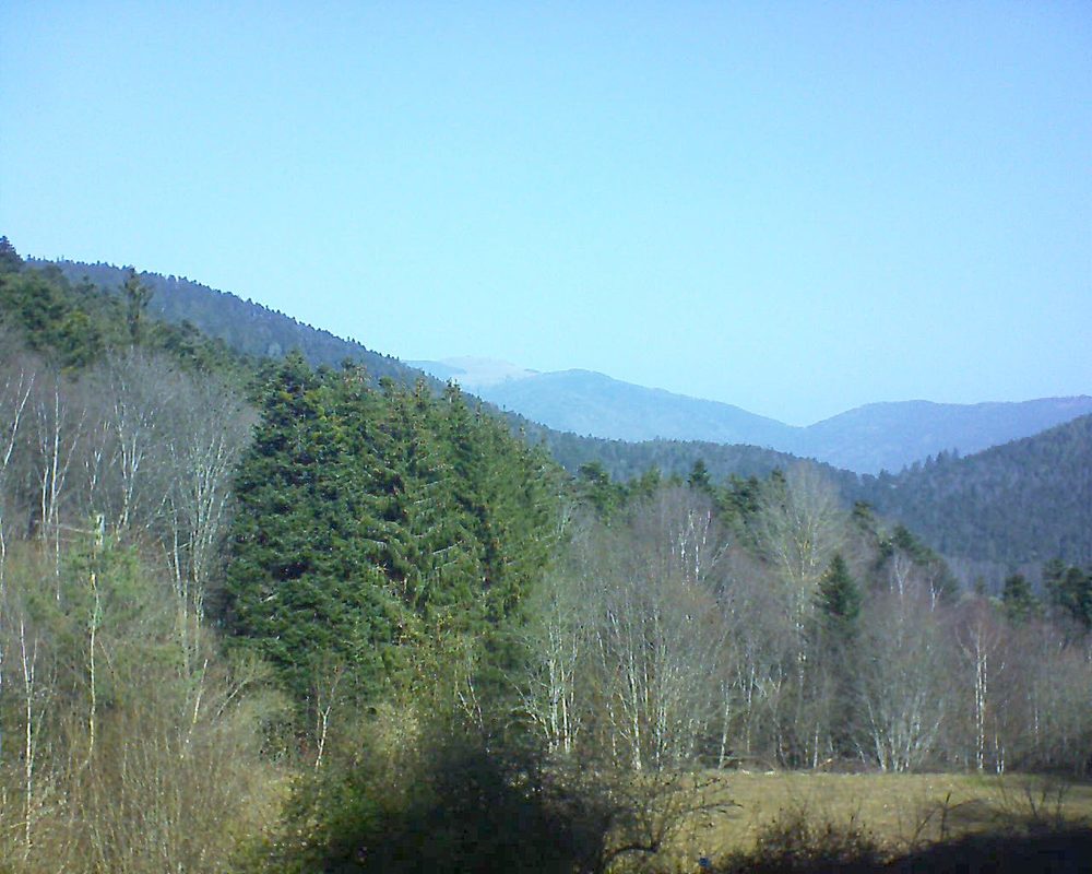 Le petit ballon vu depuis le Domaine Langmatt à Murbach le 25.02.2021 à 11:15 Le petit ballon (Alsace, Vosges) le 25.02.2021 à 11:15