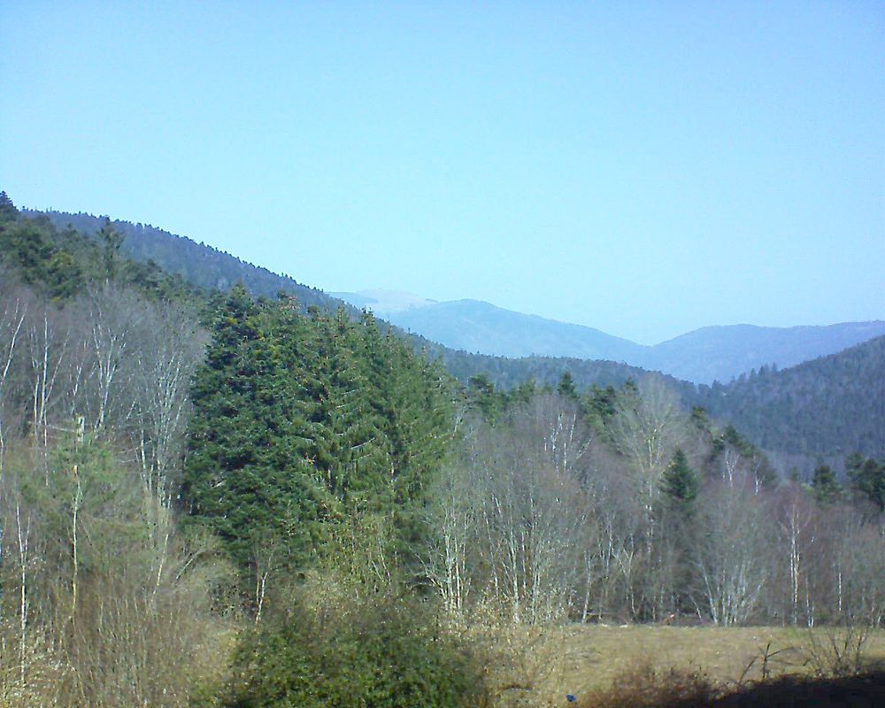 Le petit ballon vu depuis le Domaine Langmatt à Murbach le 25.02.2021 à 11:30 Le petit ballon (Alsace, Vosges) le 25.02.2021 à 11:30