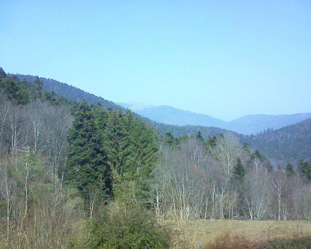 Le petit ballon vu depuis le Domaine Langmatt à Murbach le 25.02.2021 à 12:45 Le petit ballon (Alsace, Vosges) le 25.02.2021 à 12:45