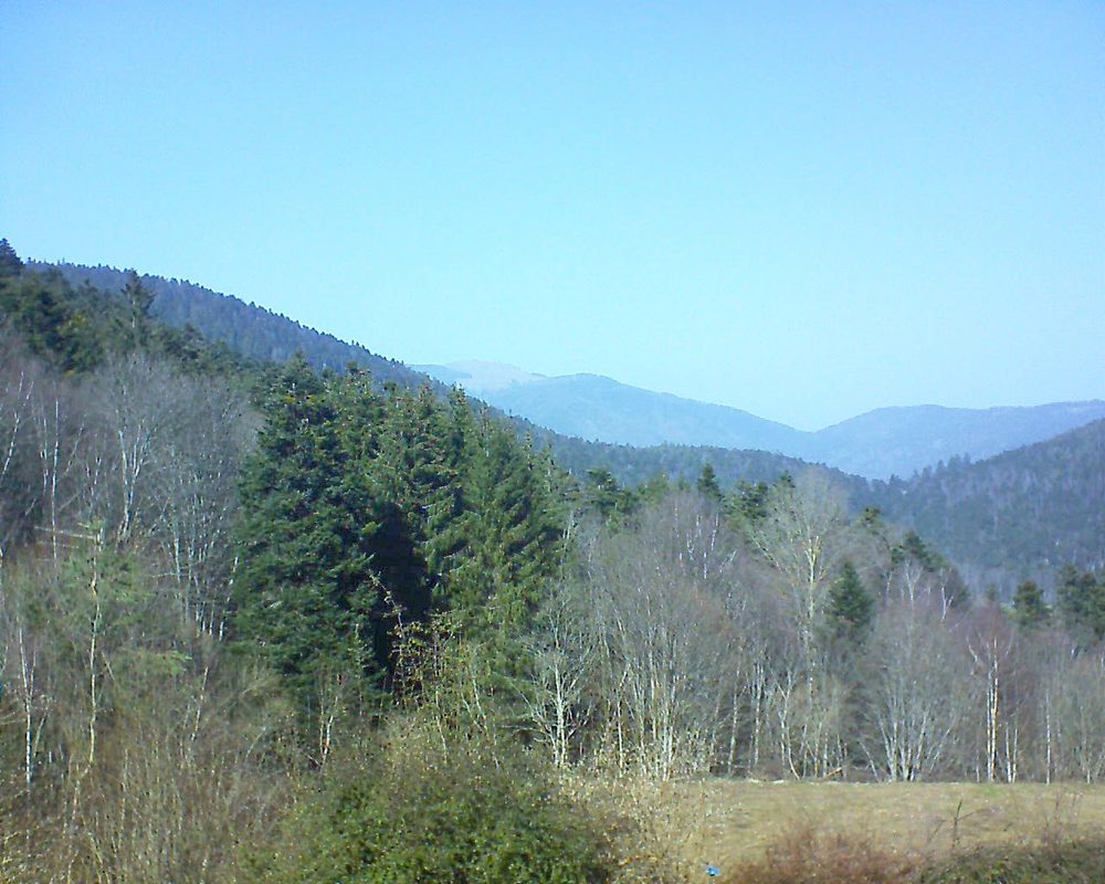 Le petit ballon vu depuis le Domaine Langmatt à Murbach le 25.02.2021 à 13:30 Le petit ballon (Alsace, Vosges) le 25.02.2021 à 13:30