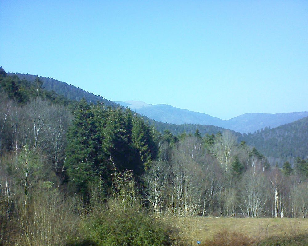 Le petit ballon vu depuis le Domaine Langmatt à Murbach le 25.02.2021 à 14:30 Le petit ballon (Alsace, Vosges) le 25.02.2021 à 14:30