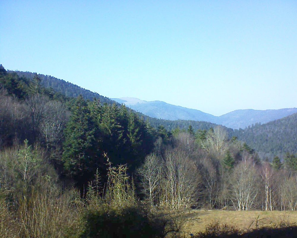 Le petit ballon vu depuis le Domaine Langmatt à Murbach le 25.02.2021 à 15:30 Le petit ballon (Alsace, Vosges) le 25.02.2021 à 15:30
