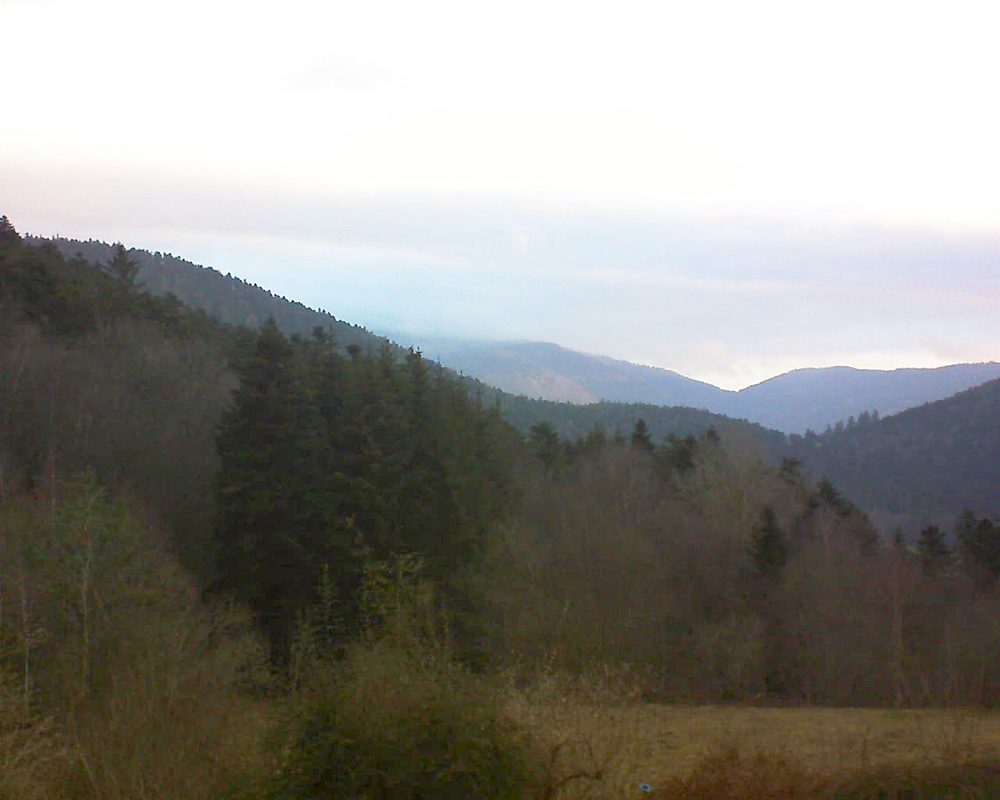 Le petit ballon (Alsace, Vosges) le 27.02.2021 à 07:30