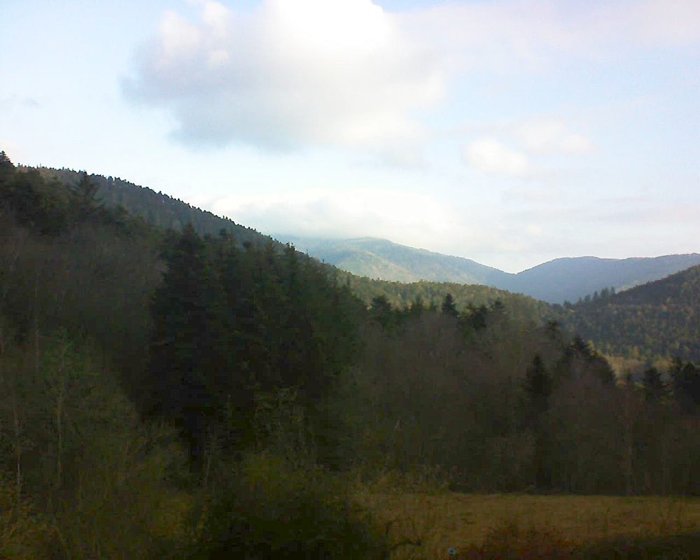 Le petit ballon (Alsace, Vosges) le 27.02.2021 à 08:15