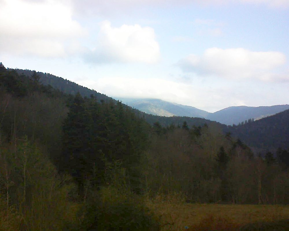 Le petit ballon (Alsace, Vosges) le 27.02.2021 à 08:45