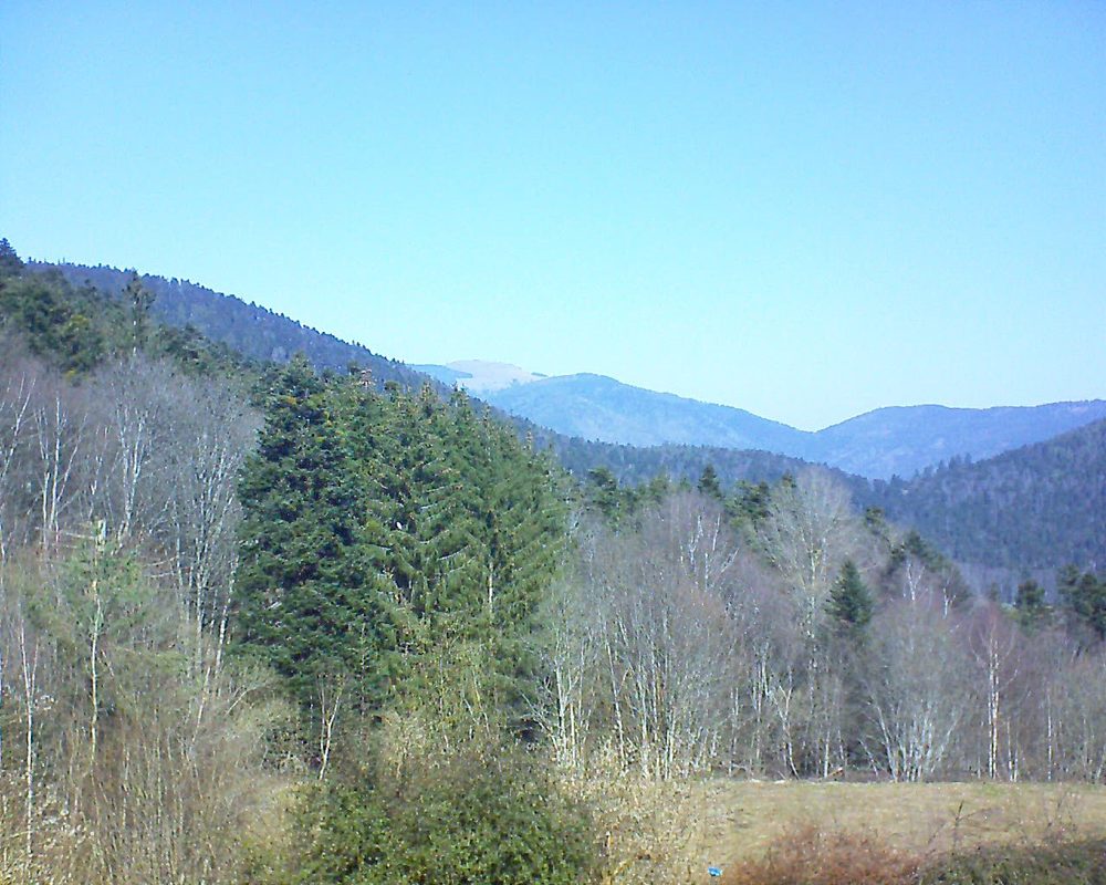 Le petit ballon (Alsace, Vosges) le 01.03.2021 à 12:00