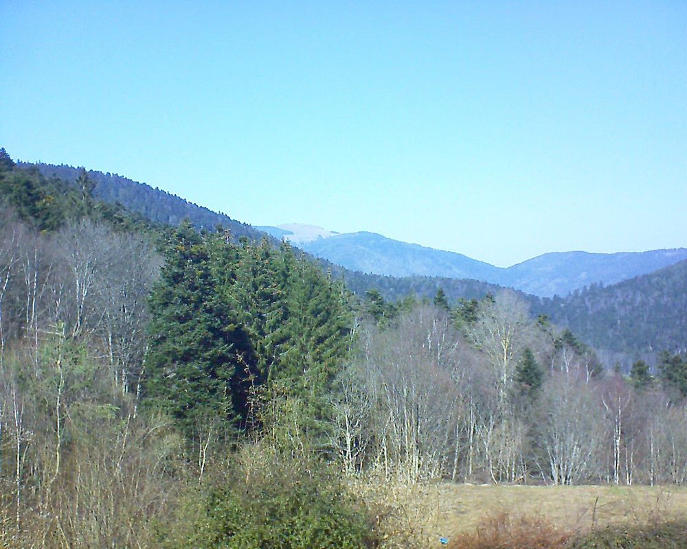 Le petit ballon vu depuis le Domaine Langmatt à Murbach le 01.03.2021 à 13:15 Le petit ballon (Alsace, Vosges) le 01.03.2021 à 13:15