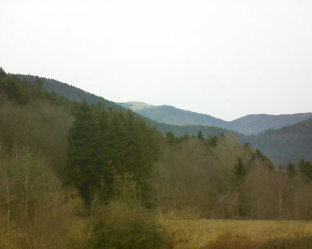 Le petit ballon vu depuis le Domaine Langmatt à Murbach le 03.03.2021 à 12:30 Le petit ballon (Alsace, Vosges) le 03.03.2021 à 12:30